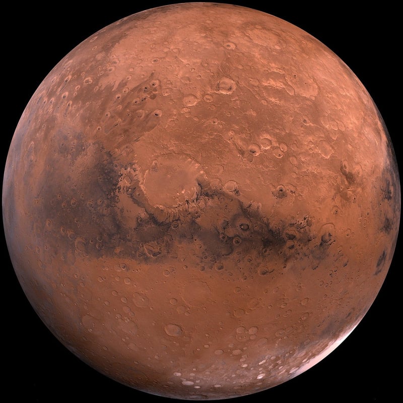 Martian Ecosystems
