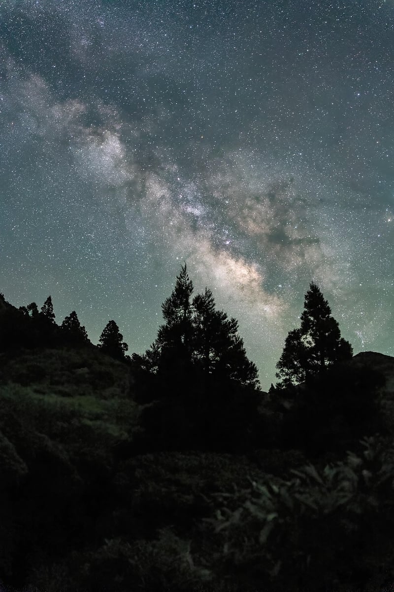 Exoplanets